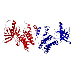 Image of CATH 4nka