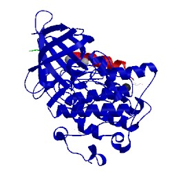 Image of CATH 4nm5