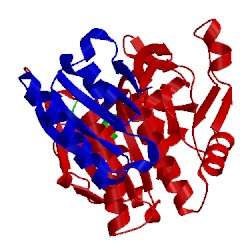 Image of CATH 4nmx