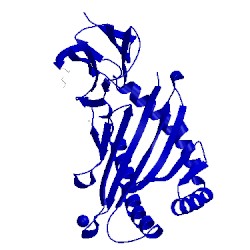 Image of CATH 4no5