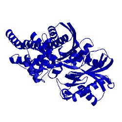 Image of CATH 4no7