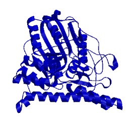 Image of CATH 4nom