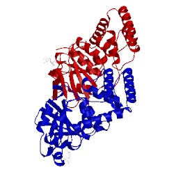 Image of CATH 4non