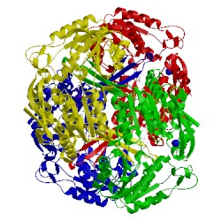 Image of CATH 4npi