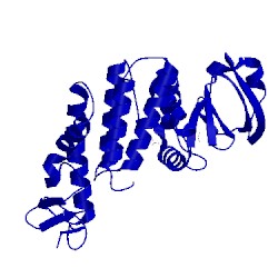 Image of CATH 4nps