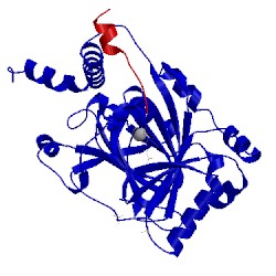 Image of CATH 4nr1