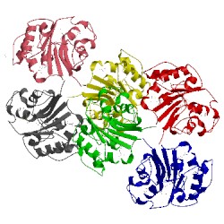 Image of CATH 4nrd