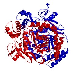 Image of CATH 4nse