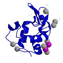 Image of CATH 4nsg