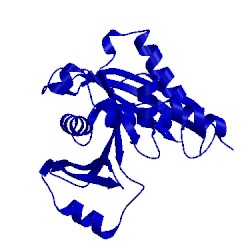 Image of CATH 4nsp