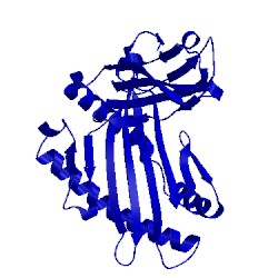 Image of CATH 4nt6