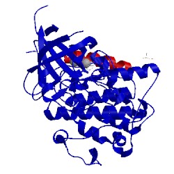 Image of CATH 4nu1