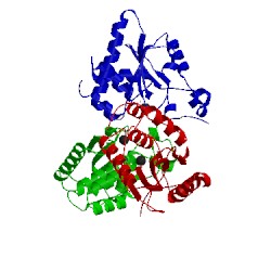 Image of CATH 4nyh