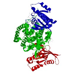 Image of CATH 4nym