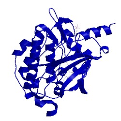 Image of CATH 4o0x