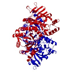 Image of CATH 4o15