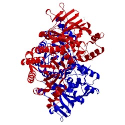Image of CATH 4o1d