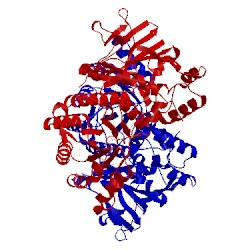 Image of CATH 4o28