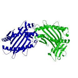 Image of CATH 4o2f