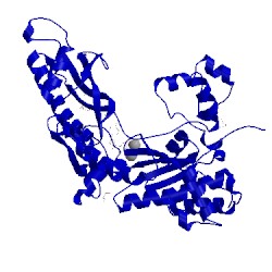 Image of CATH 4o3p