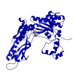 Image of CATH 4o3q