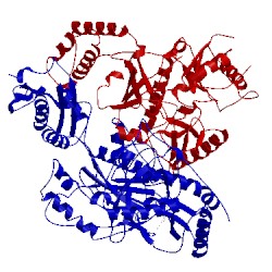 Image of CATH 4o4g