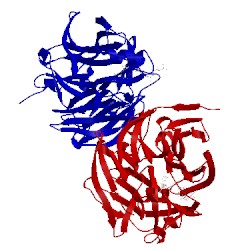 Image of CATH 4o5t
