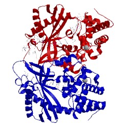 Image of CATH 4o6a