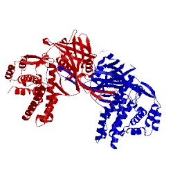 Image of CATH 4o7p