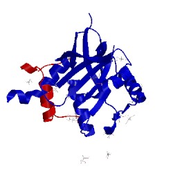 Image of CATH 4o8y