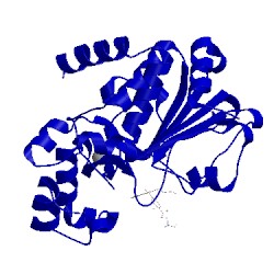 Image of CATH 4o8z