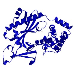 Image of CATH 4oai