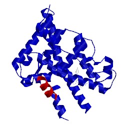 Image of CATH 4oar