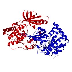Image of CATH 4obq