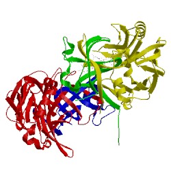Image of CATH 4obz