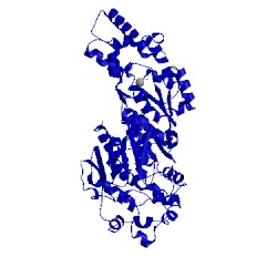Image of CATH 4od0