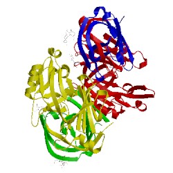 Image of CATH 4od9