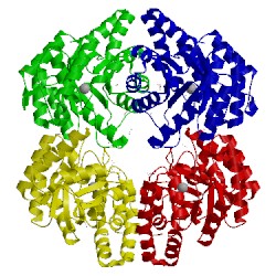 Image of CATH 4oe7