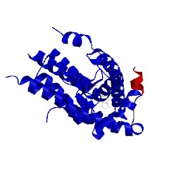 Image of CATH 4oez