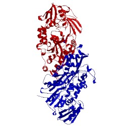 Image of CATH 4ofl