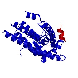 Image of CATH 4oh5