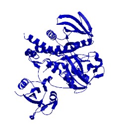 Image of CATH 4ohd