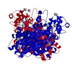 Image of CATH 4ohm