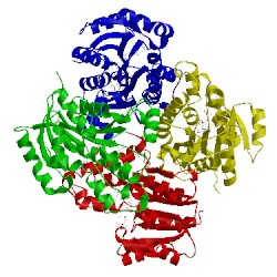 Image of CATH 4ohu