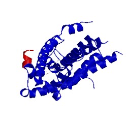 Image of CATH 4oiu