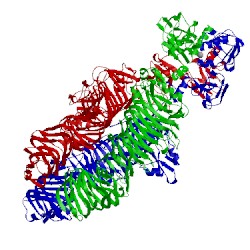 Image of CATH 4oj5