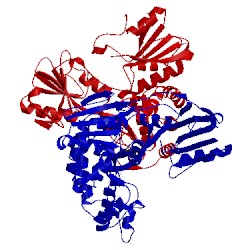 Image of CATH 4ok5