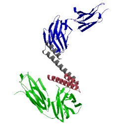 Image of CATH 4okv