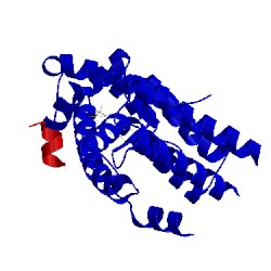 Image of CATH 4okw