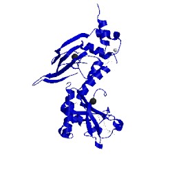 Image of CATH 4oll